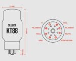⁦Ray Tubes KT88 SELECT⁩ – תמונה ⁦5⁩